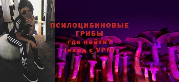 мяу мяу мука Гусев