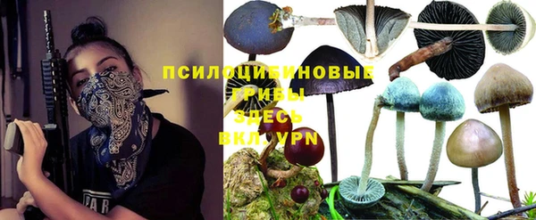 спайс Гусиноозёрск